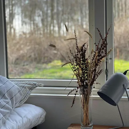 House With A View And Direct Access To Ferienhaus Haderslev